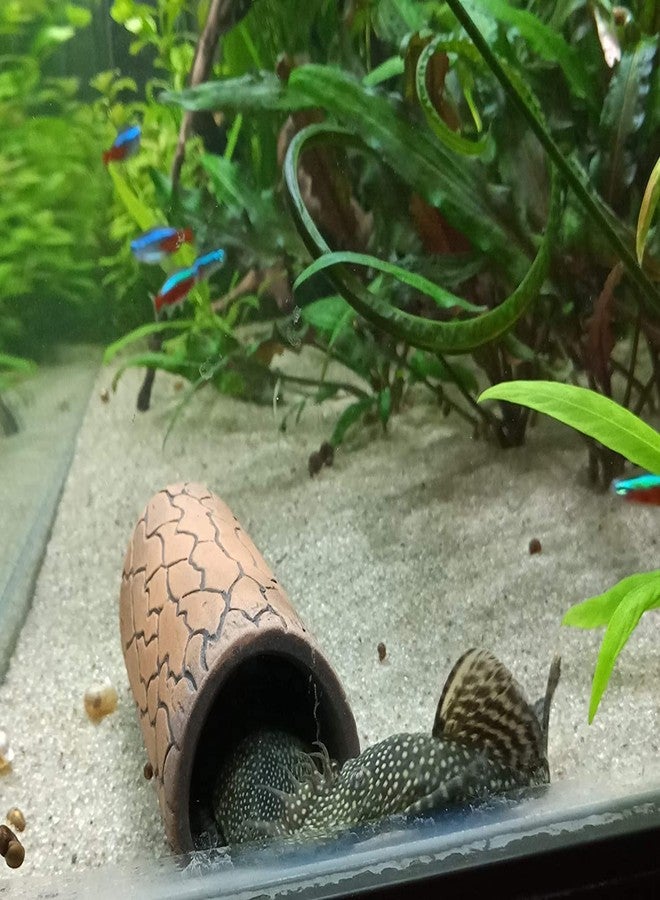 Plecoceramics مجموعة ديكورات حوض السمك من Plecoceramics، كهف تربية سمك البليكو، حجم صغير (4 قطع) - Image 4